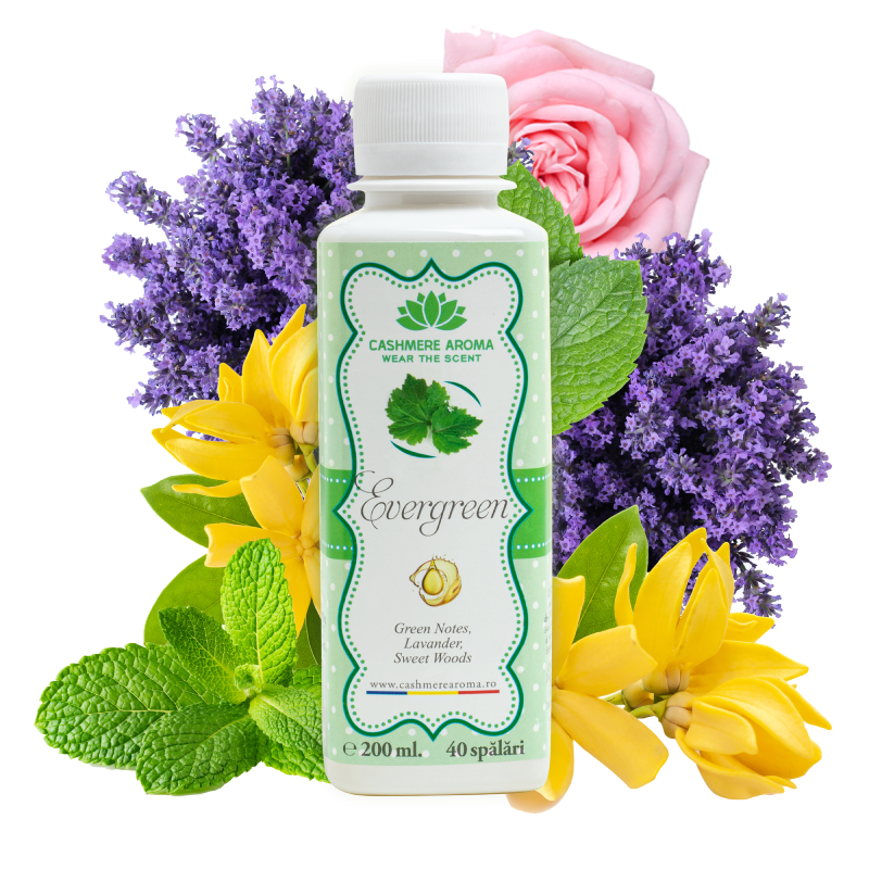 Parfum de rufe Evergreen (fara balsam)