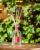 Parfum de camera Firenze, 250 ml