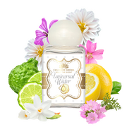 Tester parfum de rufe Universal water 30ml