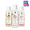 Pachet 3 parfumuri " Addictive Comfort" Transport GRATUIT