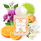 Tester parfum de rufe Fresh Garden 30 ml